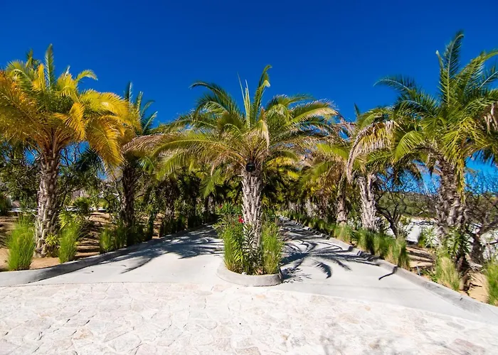 Palmilla Dunes! Luxury 3 Bed Lux Golf Cart!
